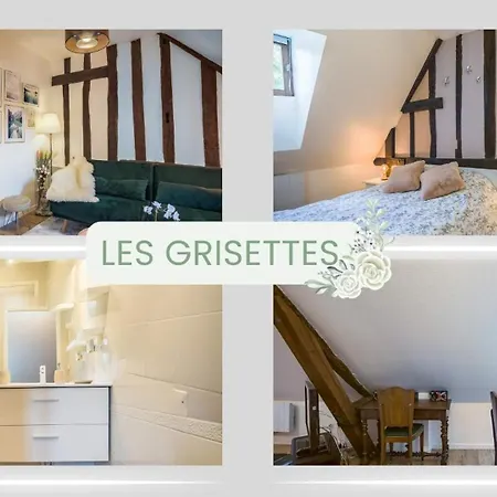 Les Grisettes - Charme Et Histoire - Prox Cathedrale Troyes